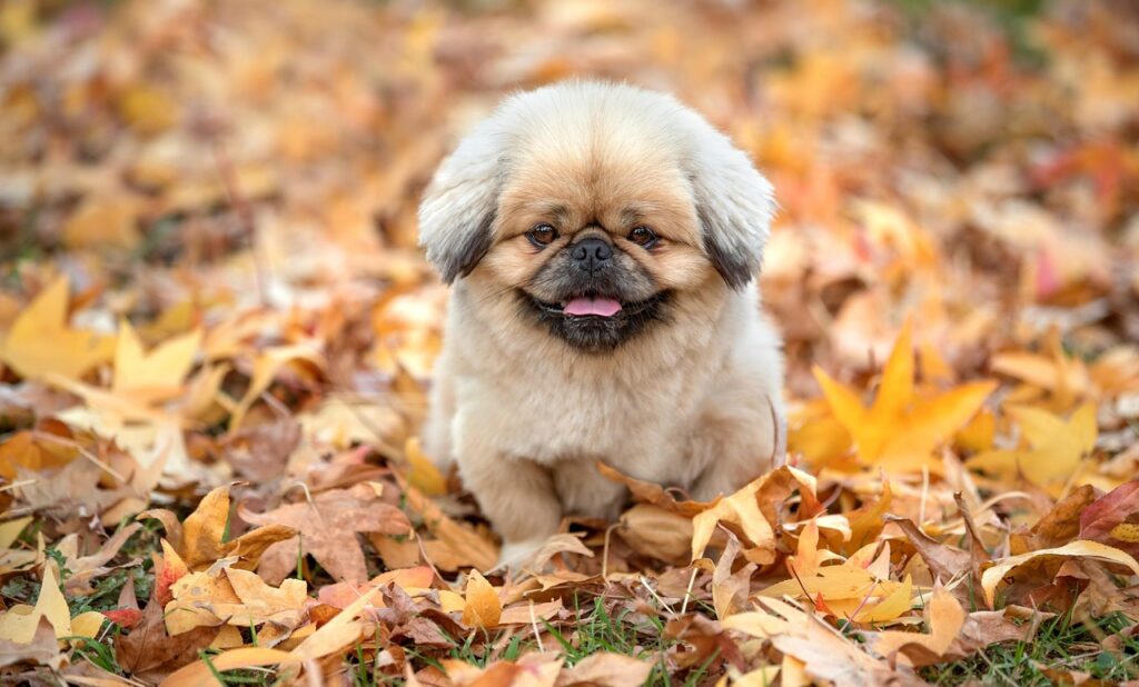 洗顔の無料サンプルを試してみるべき理由は？