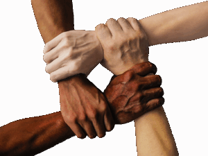 ドラッグストアでサンプルをもらえる商品の種類は？