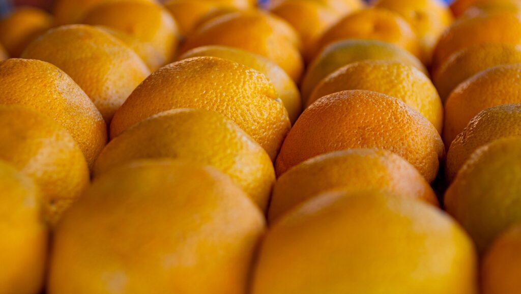 オーガニックコスメの試供品はなぜ人気なのか？