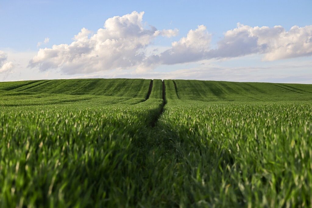 HABAのトライアルセットに関する口コミはどれが信頼できる？