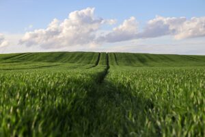 HABAのトライアルセットに関する口コミはどれが信頼できる？