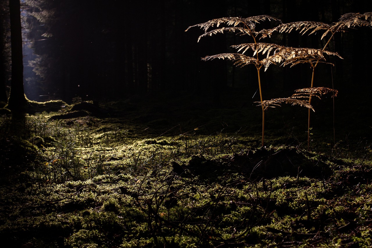 たるみ毛穴に効果的な化粧品トライアルはどれがおすすめ？