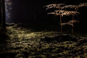 毛穴クレンジングのお試しで効果を実感する方法は？