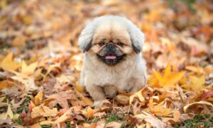 くすみ対策に効果的なスキンケアのおすすめは？