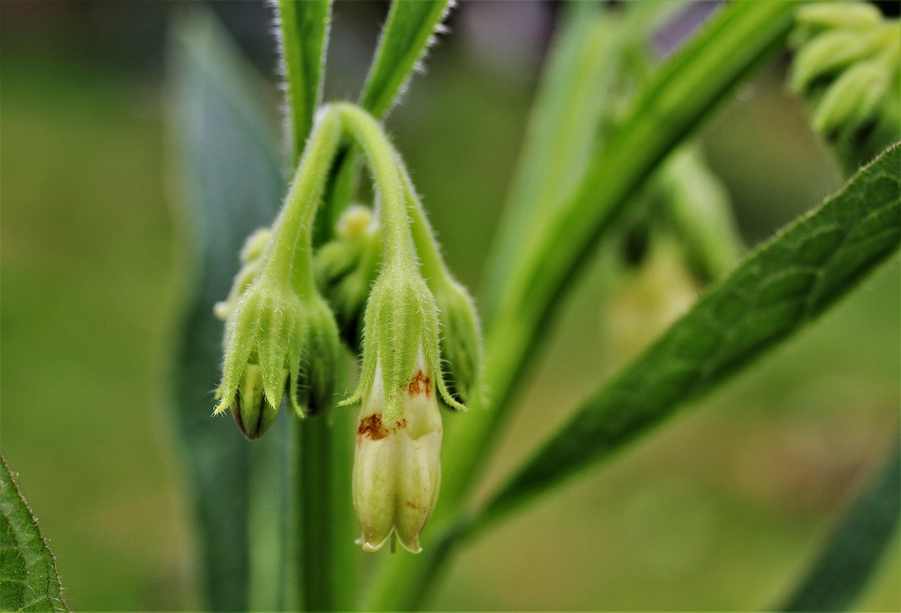 ニキビ跡に効果的なスキンケアのお試し方法は？