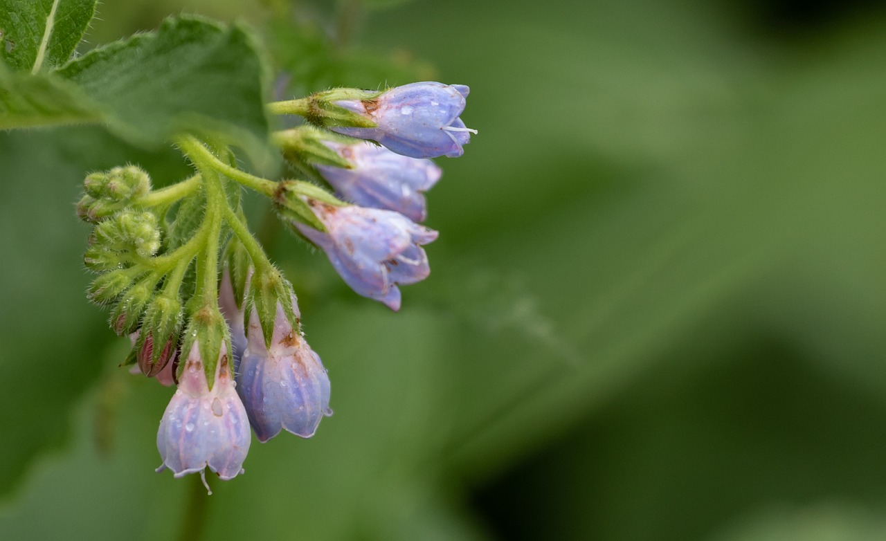 ニキビ跡に効果的な化粧品のおすすめは？