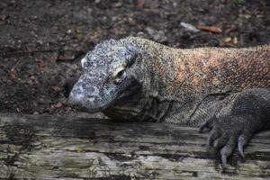 肌荒れに効果的なスキンケアランキングは？