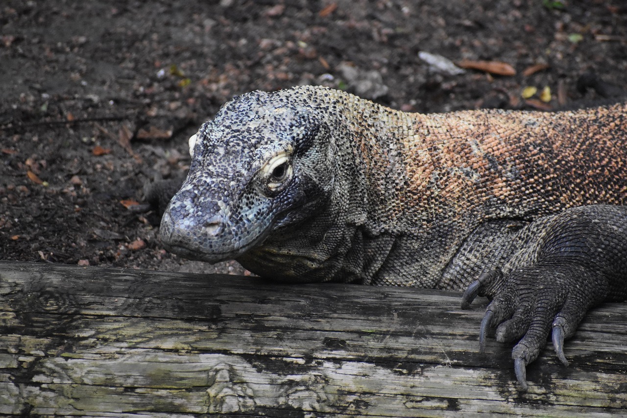 肌荒れに効果的なスキンケアランキングは？