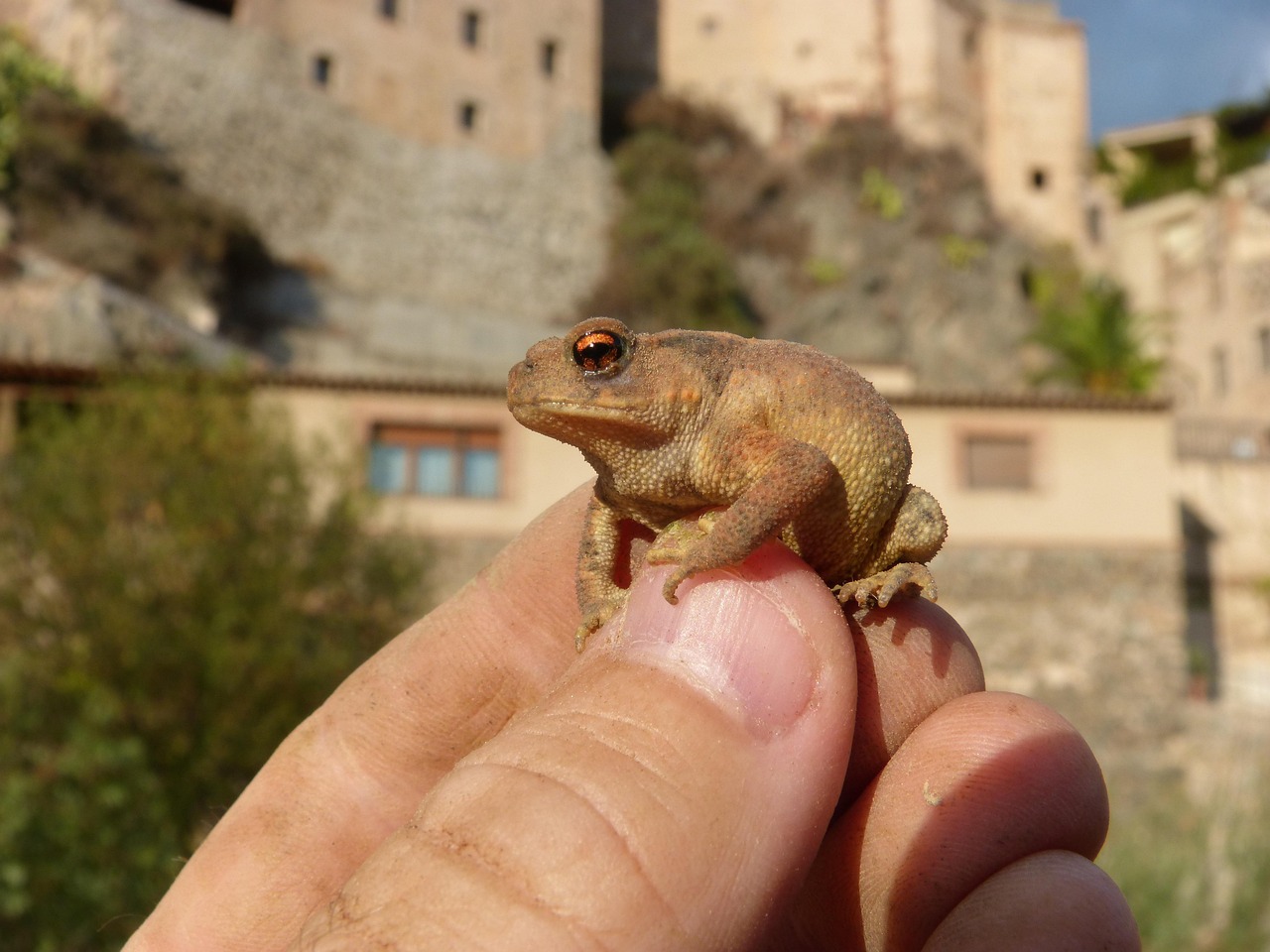 肌荒れに効果的なトライアルセットのおすすめは？