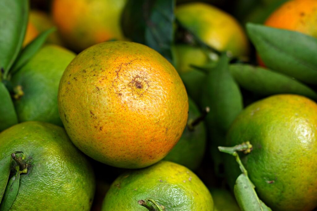 オーガニックボディソープのトライアルはどこで購入できる？